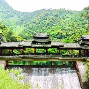 紫雲谷