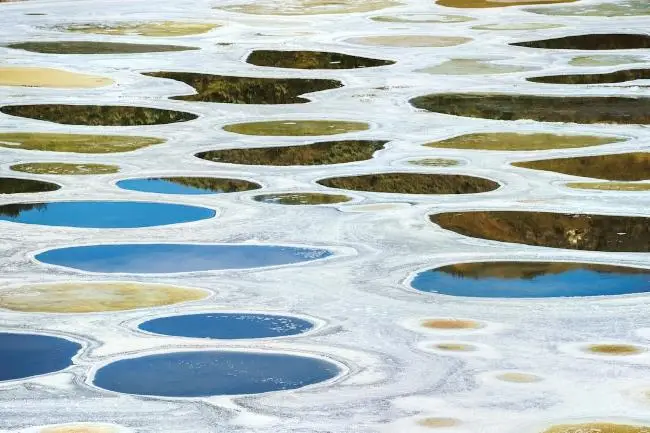 Spotted Lake