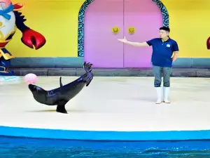 다리 해양세계