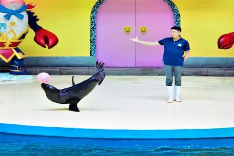 Dali Ocean World