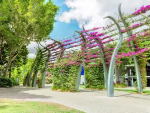 Parques South Bank