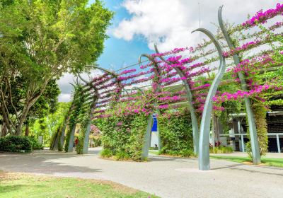 Parques South Bank