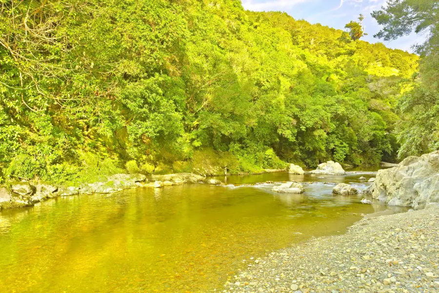 Kaitoke Regional Park