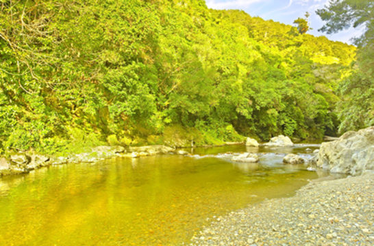 Kaitoke Regional Park