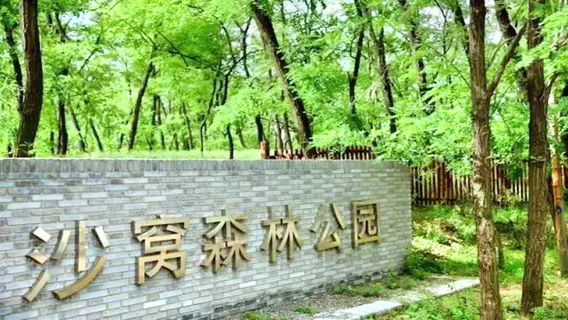 Shawo Forest Park