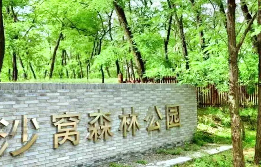 砂の巣森林公園