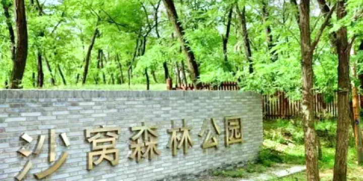 沙窩森林公園