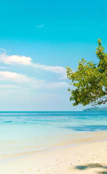 帽子甲斐周辺のホテル