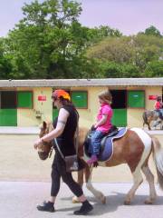 ハークス・ベイ・ファームヤード動物園