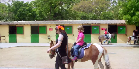 Hawkes Bay Farmyard Zoo
