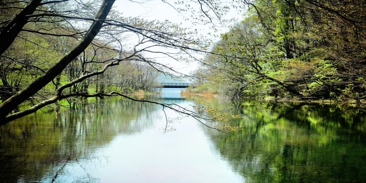 Lake Towada