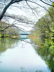 Lake Towada