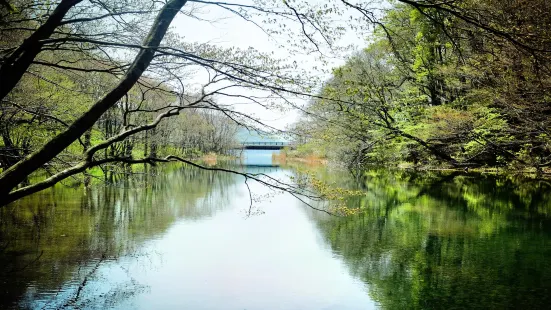 Lake Towada