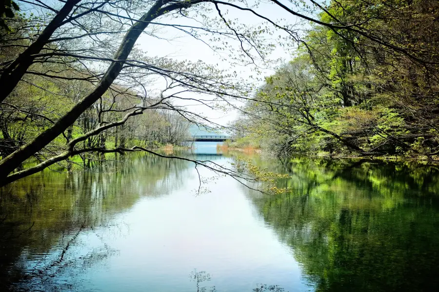 Lac Towada