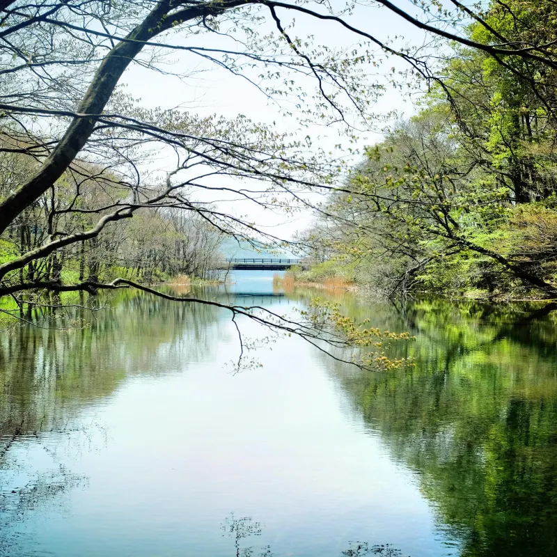 十和田湖