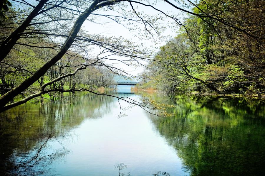 十和田湖