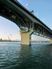 Auckland Bridge Climb and Bungy