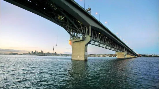 Auckland Bridge Climb and Bungy