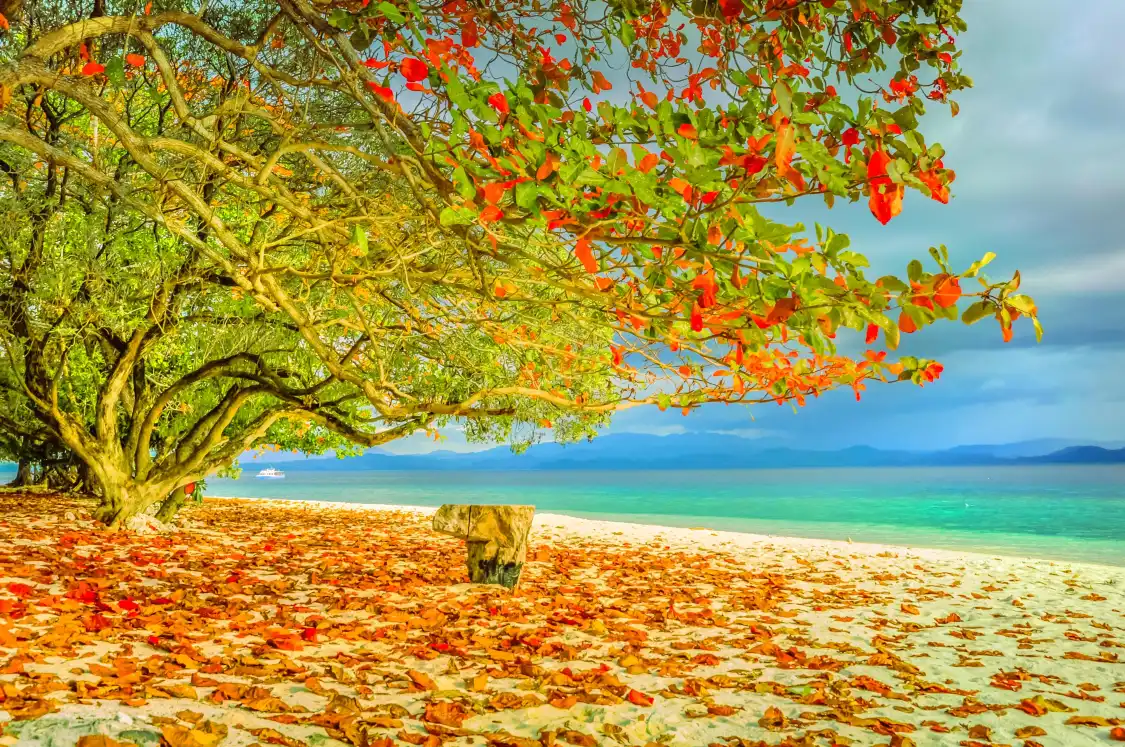 Hotels near Lihaga Island