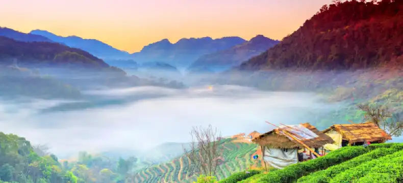 โรงแรมในฝาง