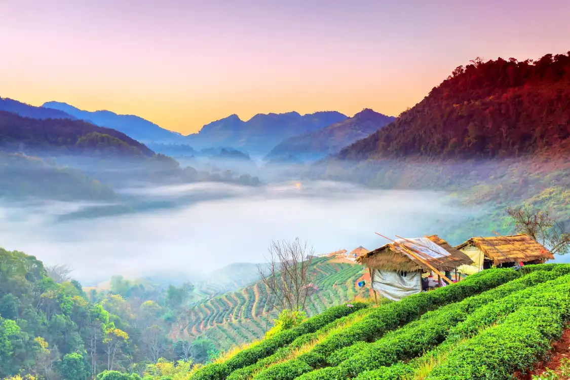 Hotels in der Nähe von Doi Ang Khang