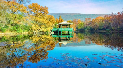 鐘山風景区