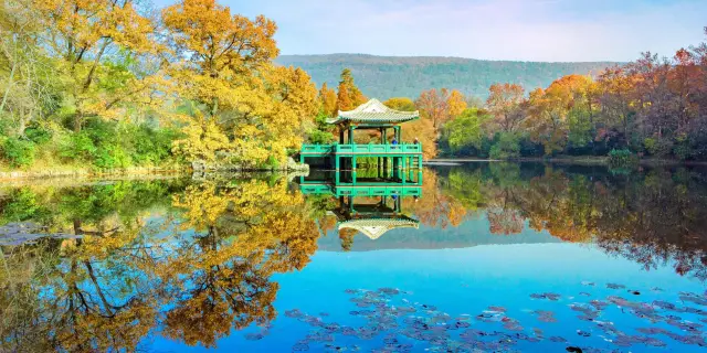 Zijin Mountain Scenic Area/Sun Yat-sen's Mausoleum Area 2026: Top