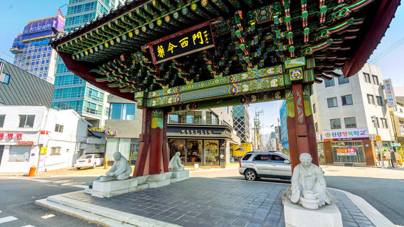 Daegu Yangnyeongsi Museum of Oriental Medicine