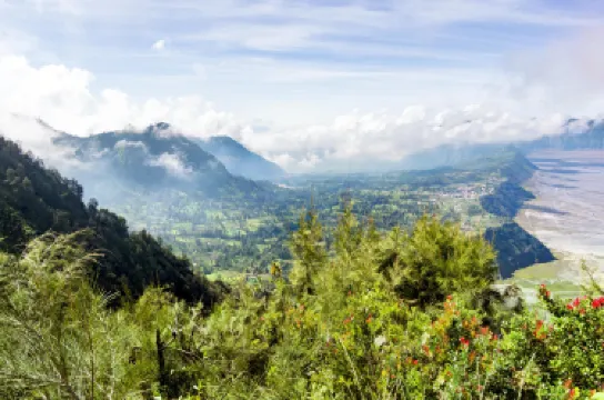 โปรโบลิงโก