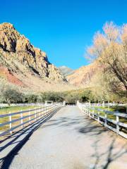 Spring Mountain Ranch State Park