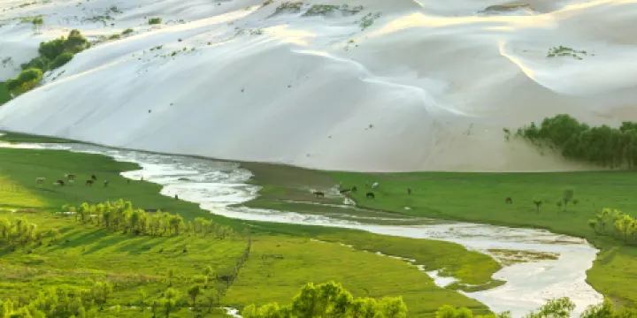 翁牛特旗地質公園