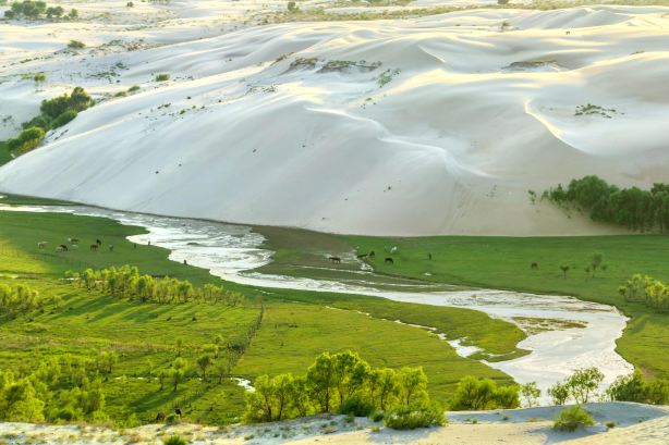Ongniud Banner Geopark