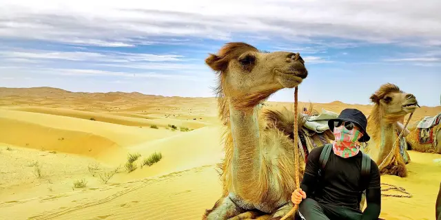 Camel Riding in Zhongwei