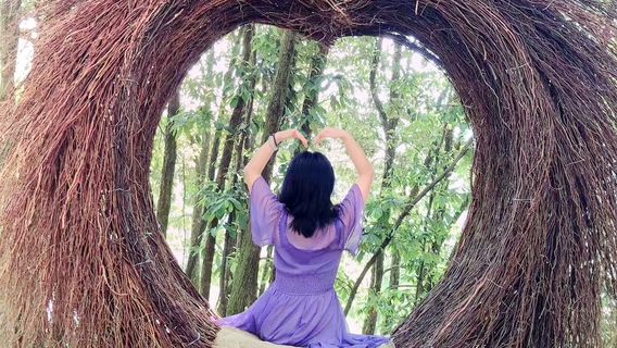 Longxi Ecology Amusement Park