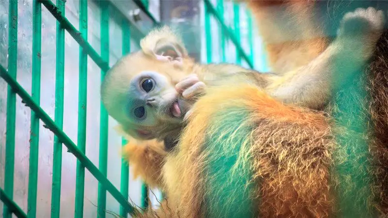 生態動物園