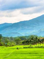 Wuzhishan Scenic Area, Hainan Tropical Rainforest National Park