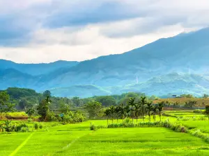 国家级อนุรักษ์ธรรมชาติภูเขาห้านิ้ว