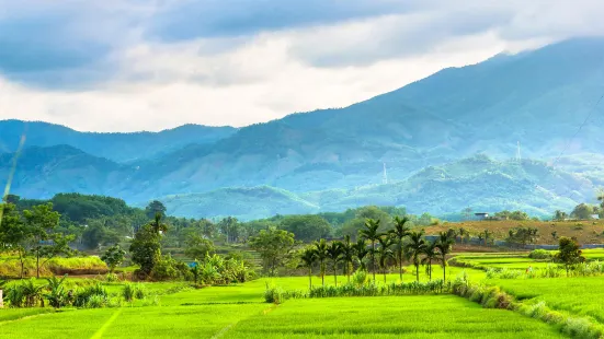 Wuzhishan Scenic Area, Hainan Tropical Rainforest National Park