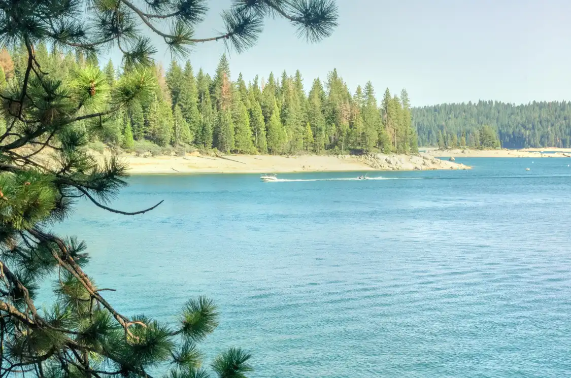 Hotels near Shavers Lake