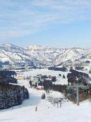 Yuzawa Park Ski Snowboard School