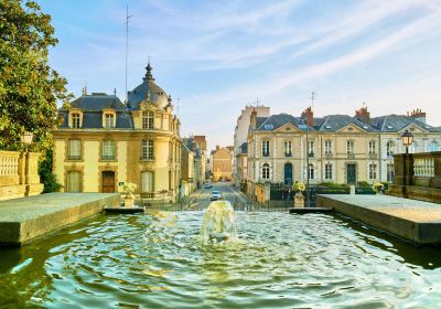 Vieux Rennes