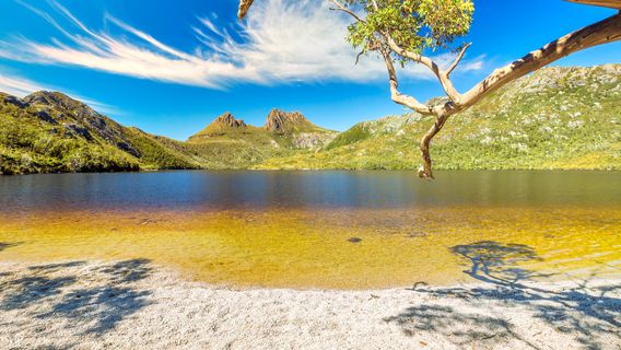Cradle Mountain
