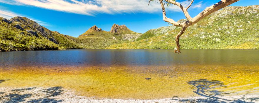 Dove Lake Circuit