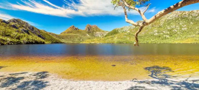 Hotels in Cradle Mountain