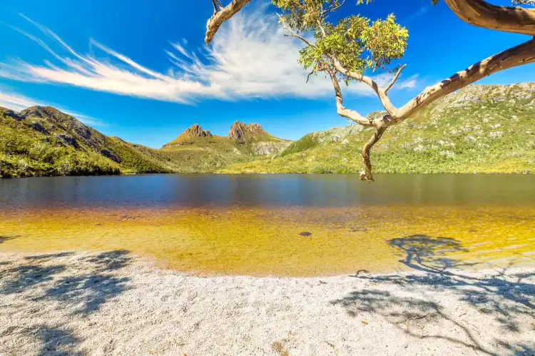 Hotel dekat Cradle Mountain