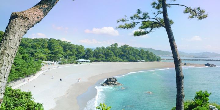 桂浜 かつらはま