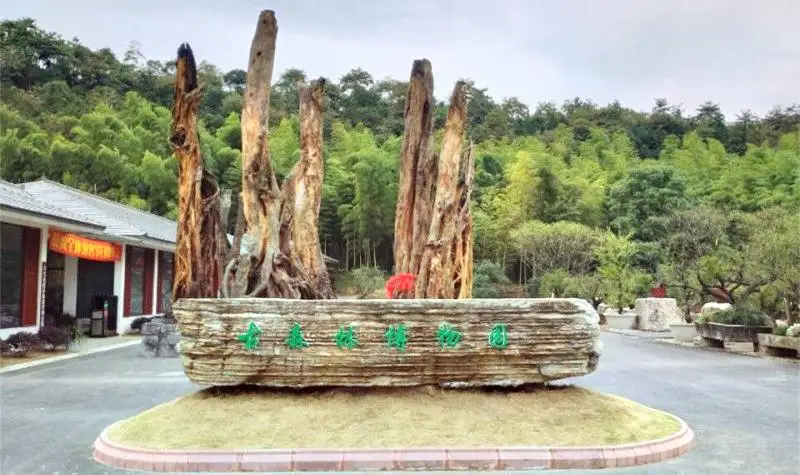 Changxinggu Forest Museum