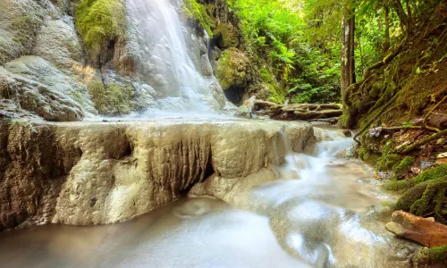 Namtok Bua Tong-Nam Phu Chet Si National Park