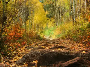 Golden Gate Canyon State Park