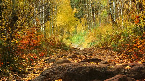 Golden Gate Canyon State Park
